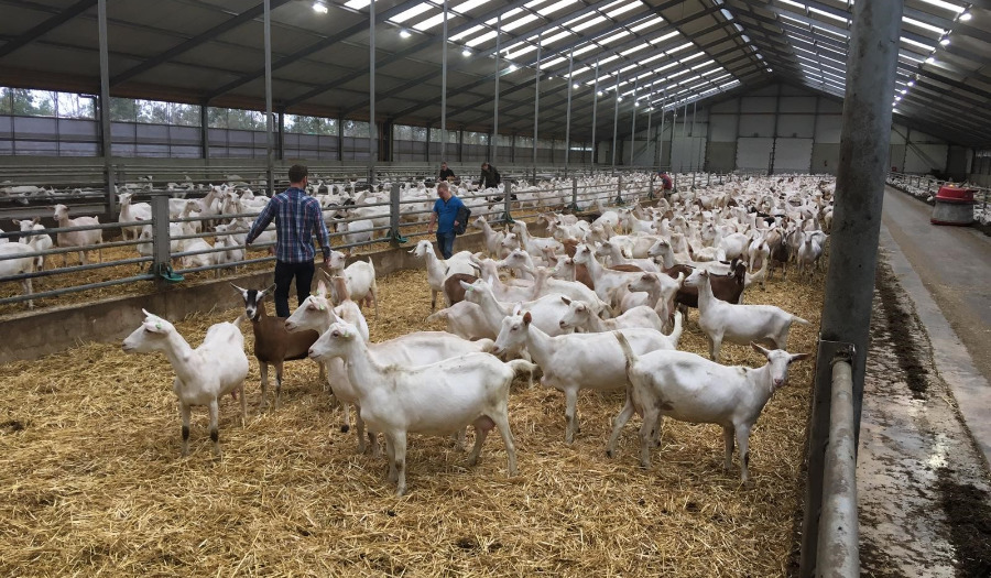 Dankbaar op de zorgboerderij