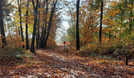 Stiltewandeling bij Nijverdal