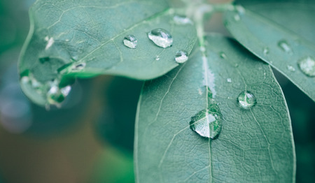 Gedicht: Kom naar het levend water