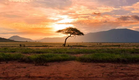 Gebed voor Oost-Afrika