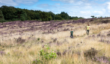 7x wandelen