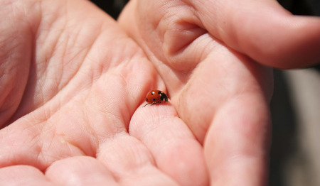 Een goddelijk mysterie in je eigen Vinex-tuin