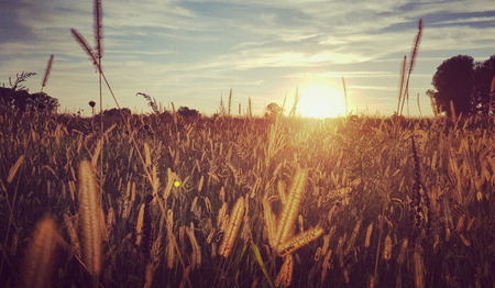 Gebed: Zon, voorzichtig stralend