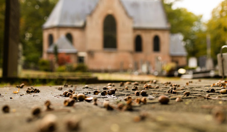 Ds. Gertine Blom: Heimwee naar een tijd die voorbij is