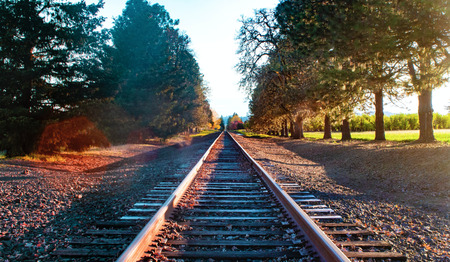 Wandelen in het spoor van de Jodenvervolging