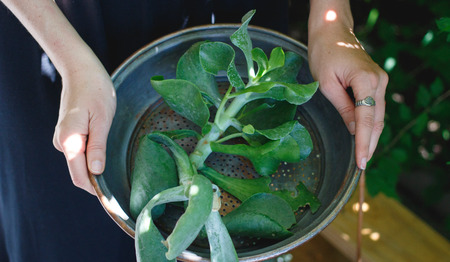 Biddag en Dankdag: de oorsprong en betekenis van deze christelijke tradities