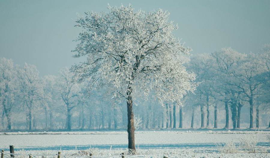 Gebed: Troost mij God