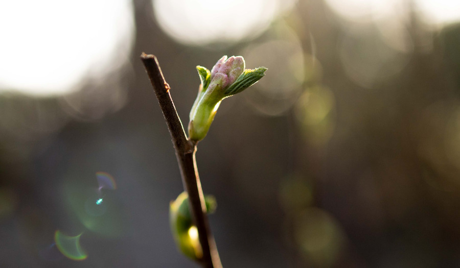 Overdenking: Hoop doet leven