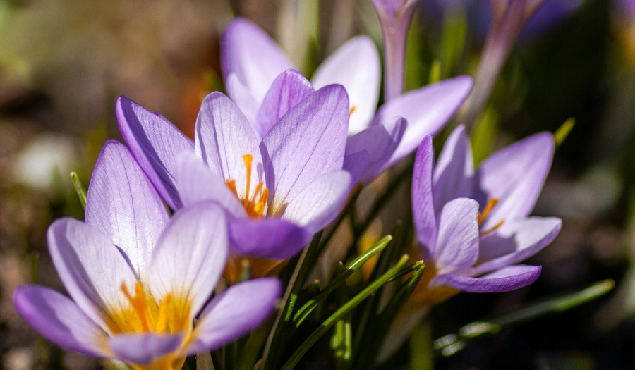 Overdenking: Laten we elkaar Gods liefde bewijzen