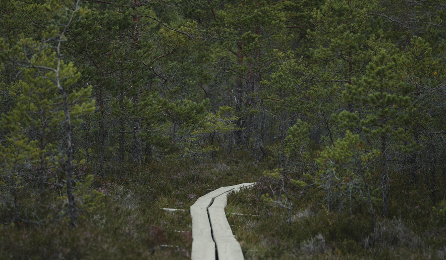 Gebed om hernieuwing van het geloof 