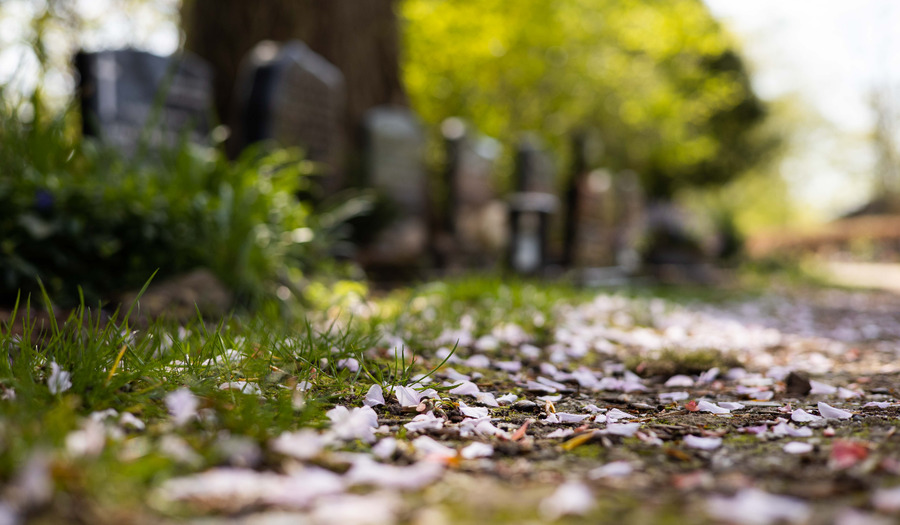 Overdenking na Pasen: ‘De leerlingen gingen terug naar huis’  