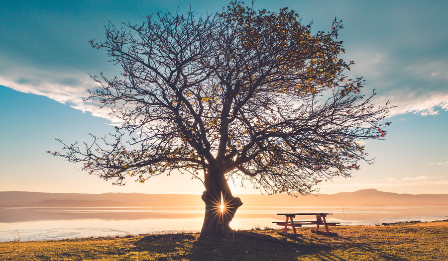 Lied 948: Als Gij er zijt, wees dan aanwezig