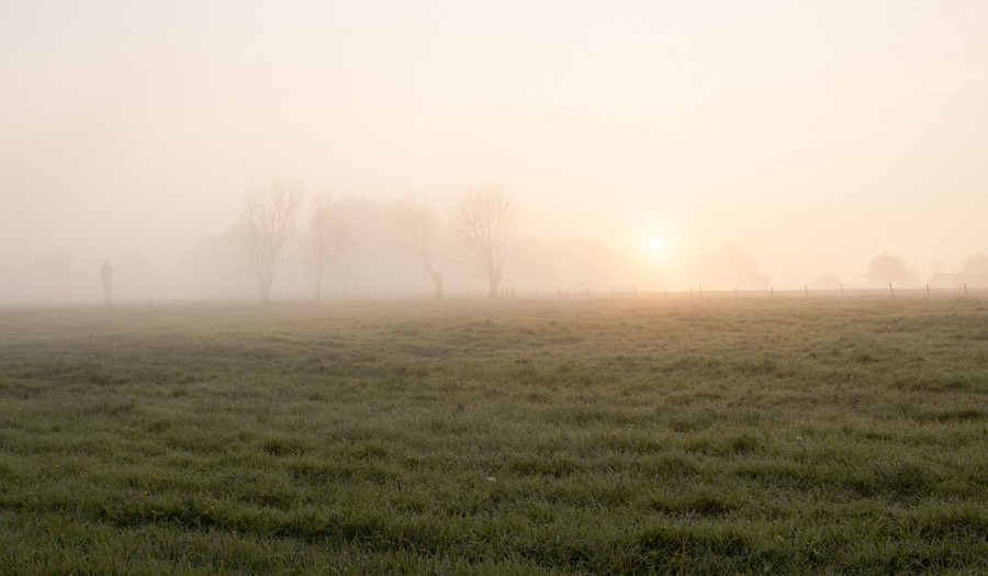 Gebed aan het begin van een werkdag  