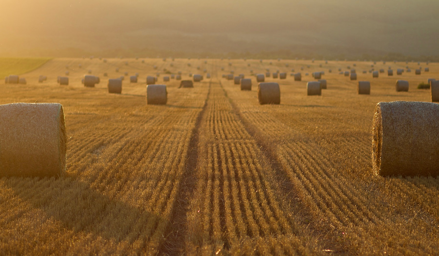 Gebed: God van de Schepping