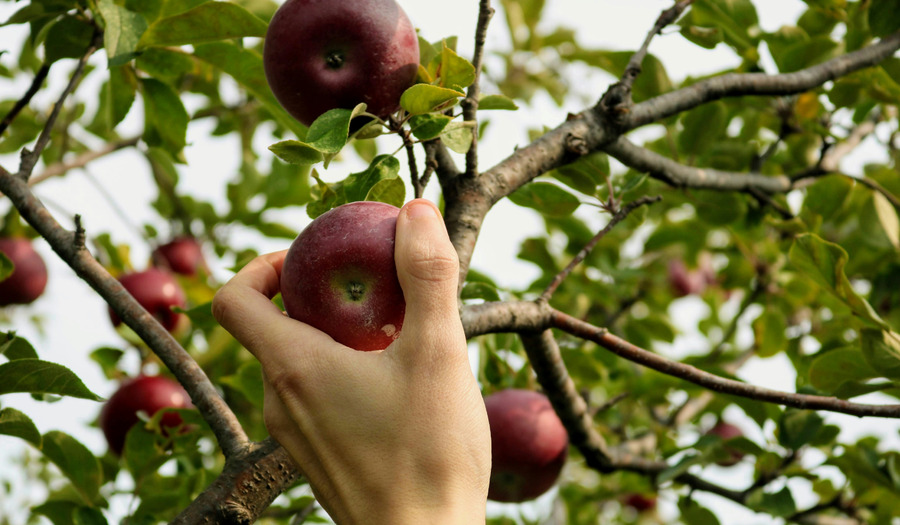 Gebed aan het begin van het kerkelijk seizoen