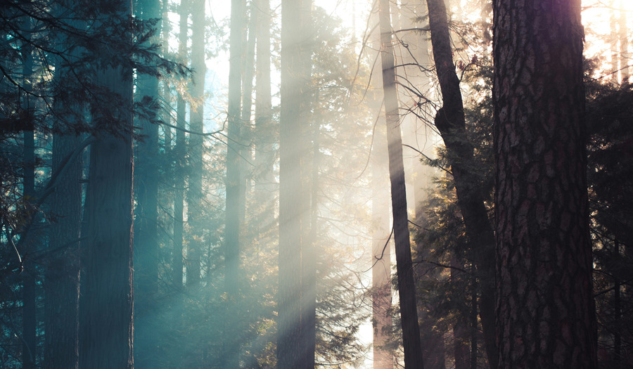 Gebed bij Pinksteren: Geef ons uw Geest 