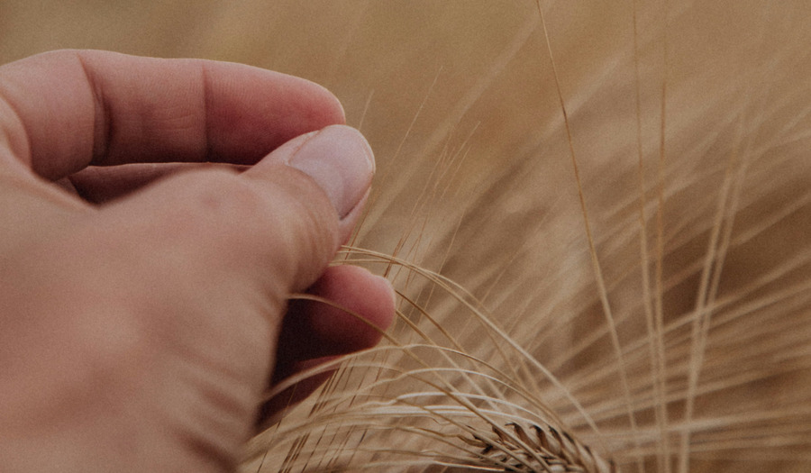 Gebed om vertrouwen en overgave 