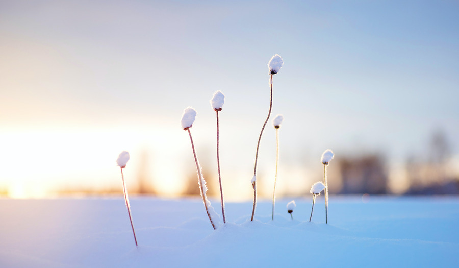 Gebed bij een nieuw begin