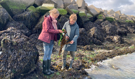 Column Mirella: Het wier van Jona en de wijsheid van de zee