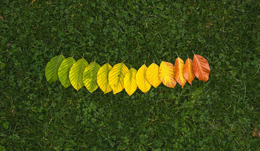 3x gebeden voor de start van een nieuw seizoen