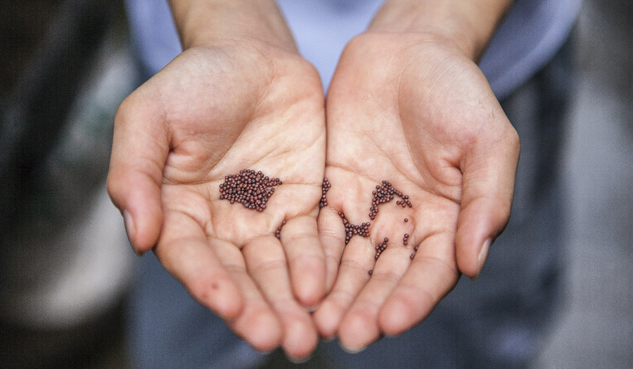 Column Wim: waarom deze kerkdienst mensen raakte