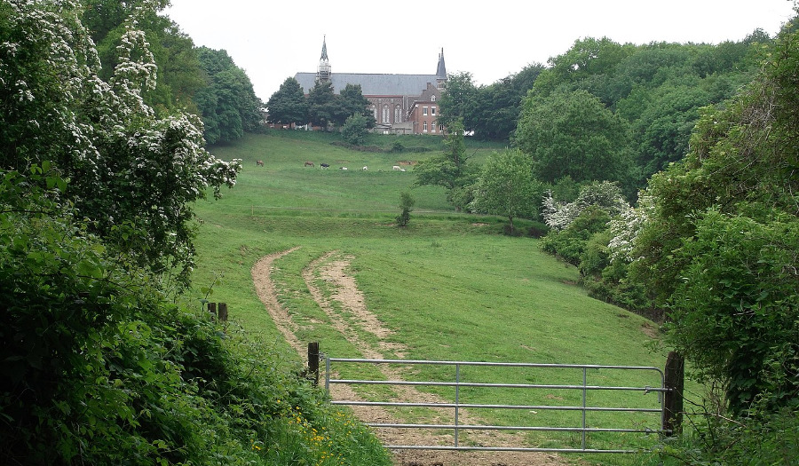 Leestip: De weg van het hart