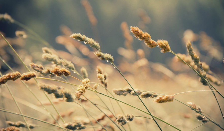 Gebed: Zo graag wil ik geloven  