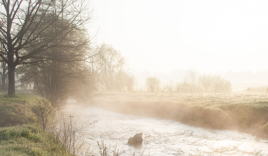 Gebed: "Geen woorden meer, mijn gedachten zijn tot rust gekomen"