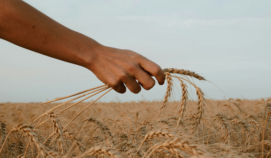 5x gebeden bij Dankdag voor gewas en arbeid