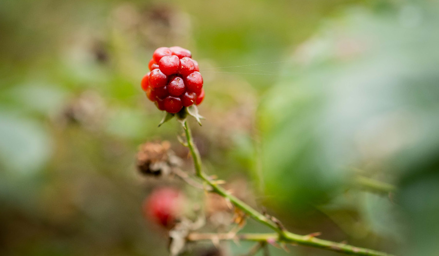 Overdenking: Hoe kom je af van jaloezie? 