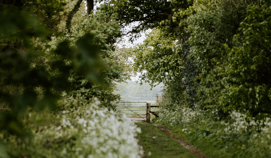 Wandelretraite bij De Spil: rust en verdieping in de natuur rondom Breukelen