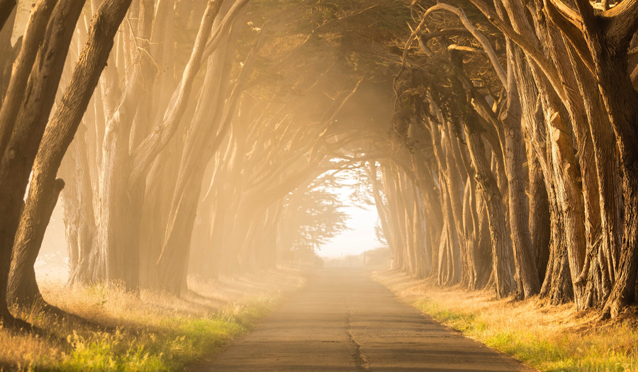 Lied 818: Niet is het laatste woord gesproken