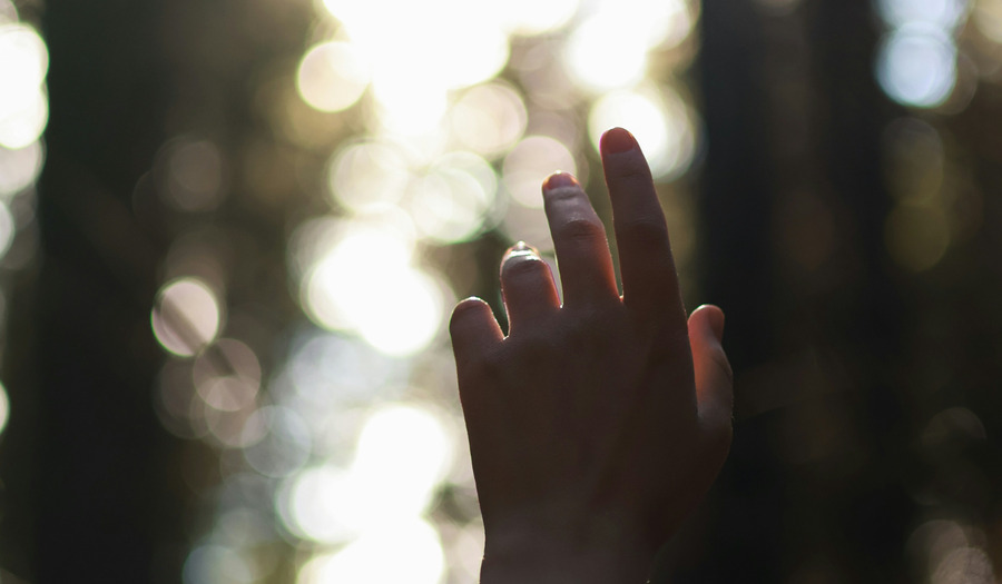 Gebed voor de gewone en bijzondere dingen  