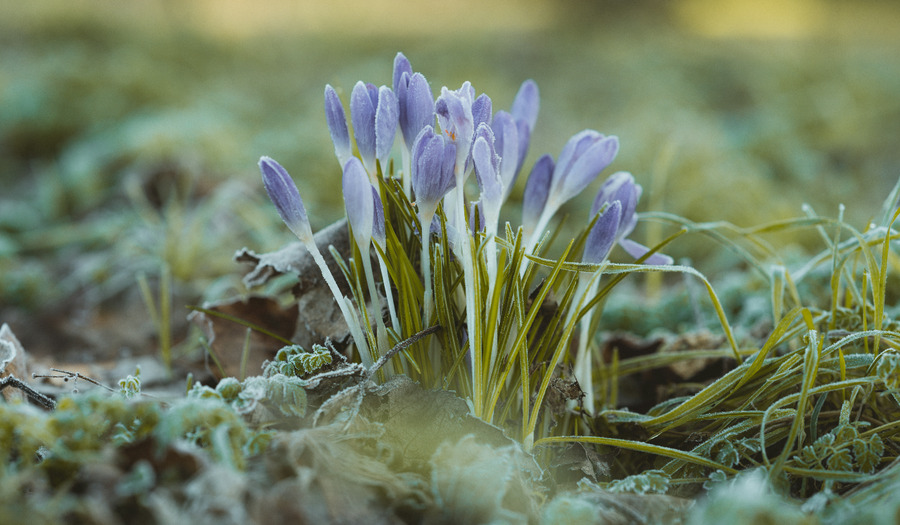 Gebed: U gaat uw eigen gang