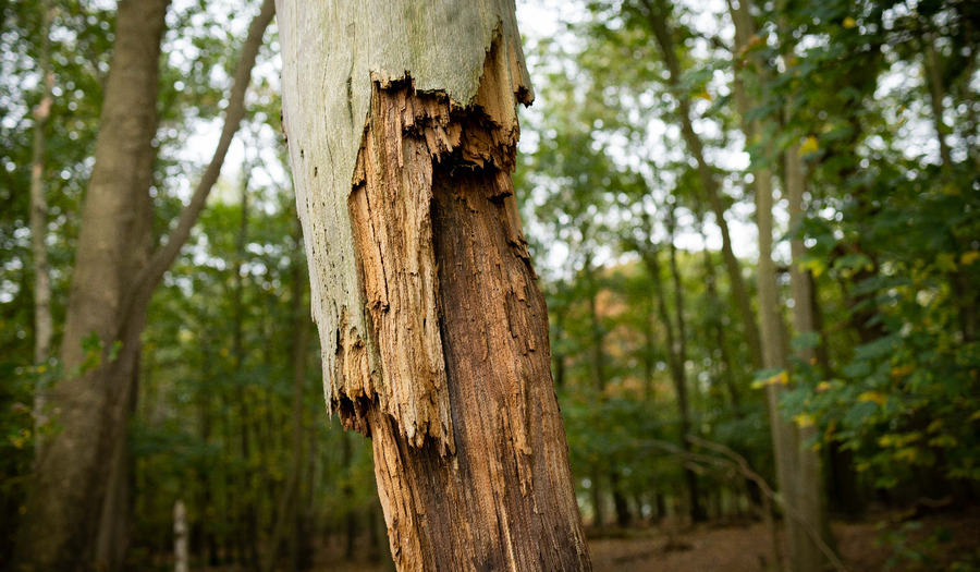 Gedicht: Versleten liefde
