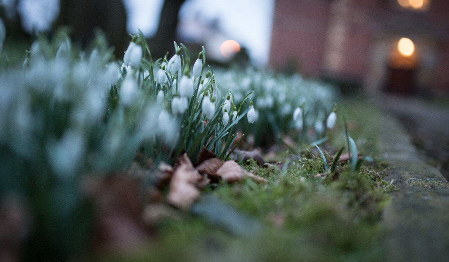 Hoe de pandemie predikant Wim Beekman tot inkeer bracht