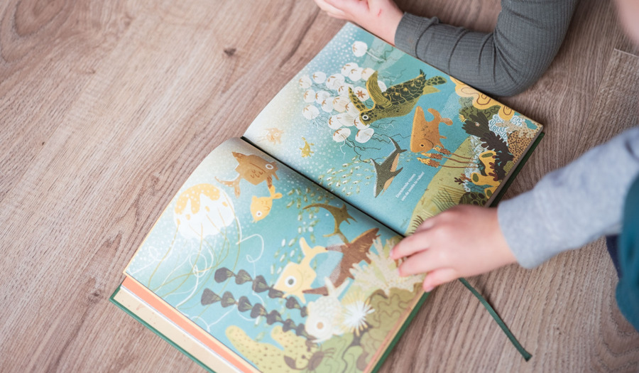 Recensie: kinderbijbel Het boek van verwondering