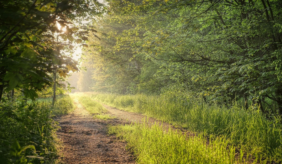 Gebed veertigdagentijd: geroepen om te verlichten
