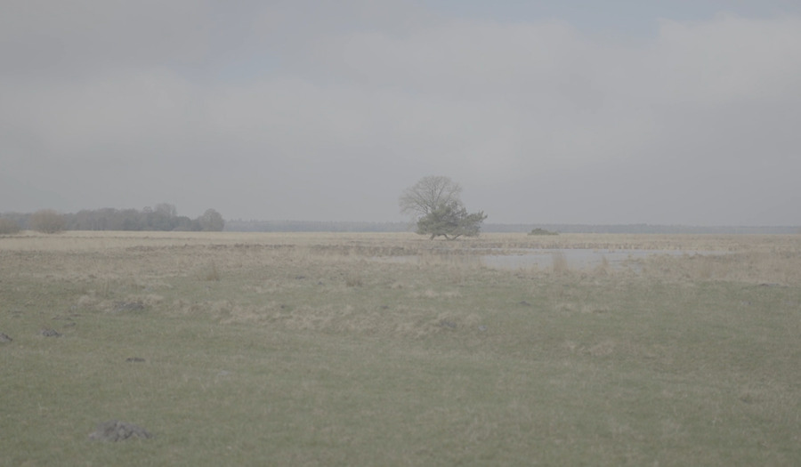 Lied 852: U komt mij, lieve God