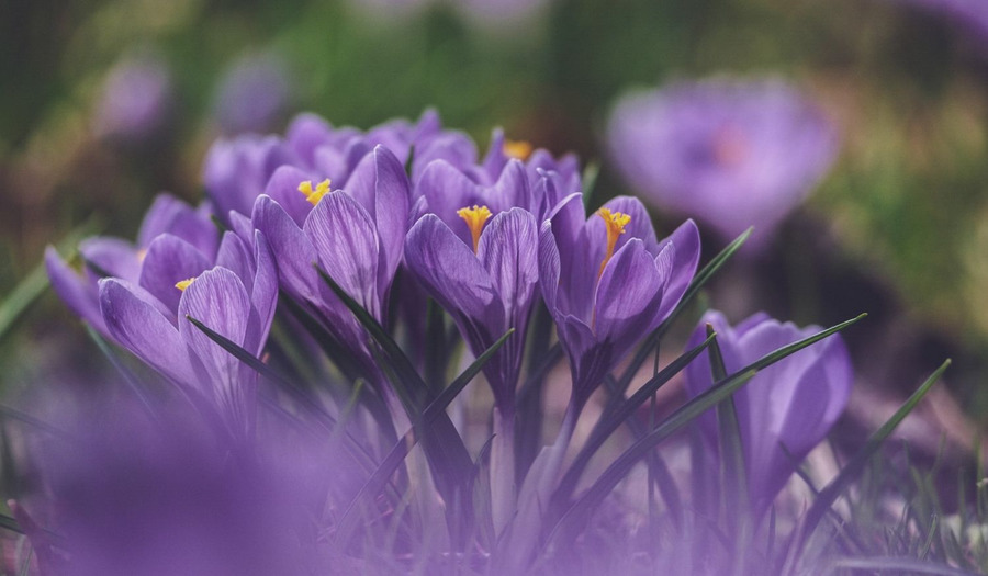 Gebed veertigdagentijd: Bron van leven