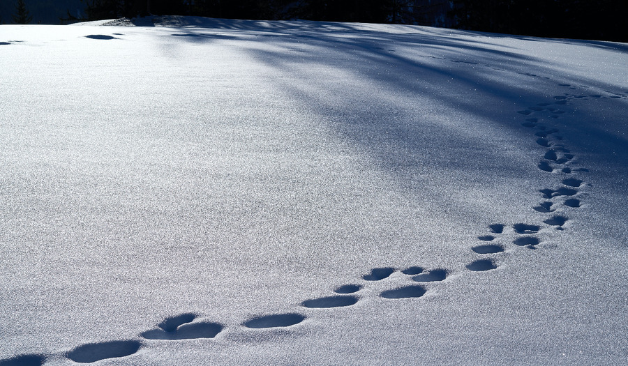 Overdenking: Wandelen met God