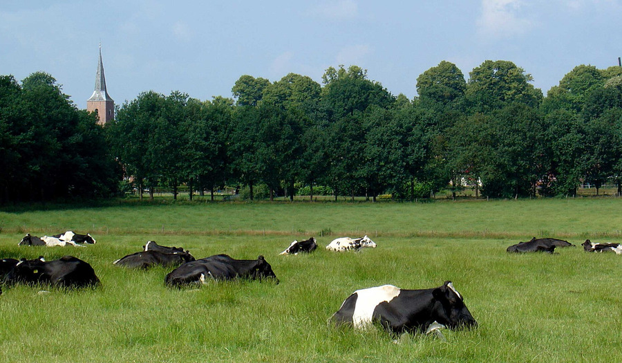 Op twee wielen langs Drentse kerken