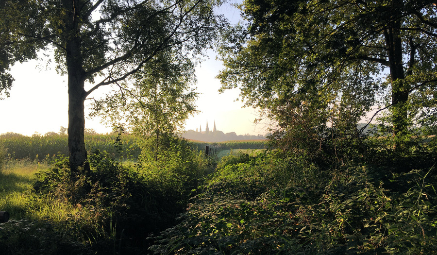 11x kloosters in Nederland voor stilte en retraite
