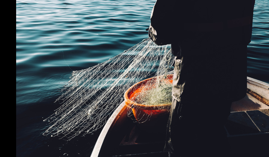 Overdenking: Te mooi om waar te zijn? 