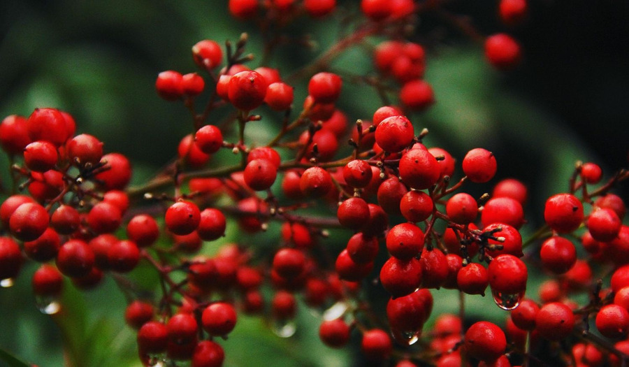 Gebed veertigdagentijd: wederkerigheid