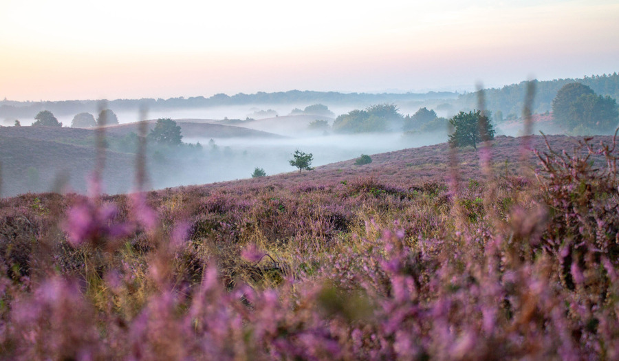 Lied: Opwekking 415 Ik hef mijn ogen [+ tekst]