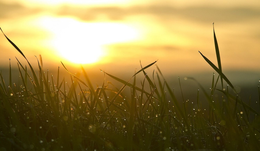Gebed veertigdagentijd: Een nieuwe toekomst