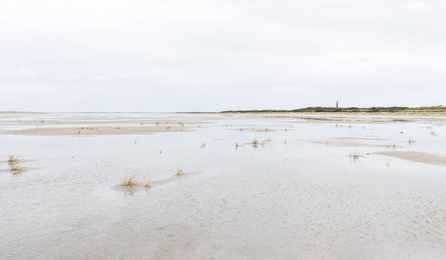 Lied 665 Tot aan die dag [+ tekst]