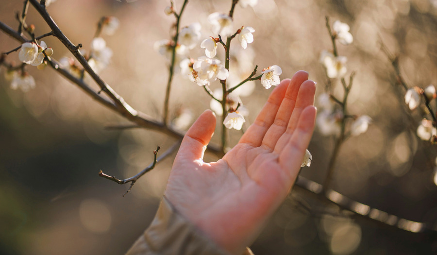 Gebed op paasmorgen: 'Houd Me niet vast, maar ga!'