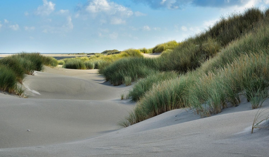 Lied: Opwekking 570 Tijd van Elia [tekst + video]